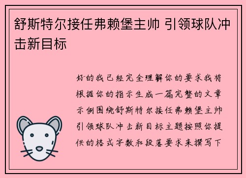 舒斯特尔接任弗赖堡主帅 引领球队冲击新目标